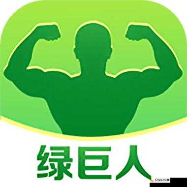 大菠萝福建导航 APP 绿巨人：提供便捷准确的导航服务