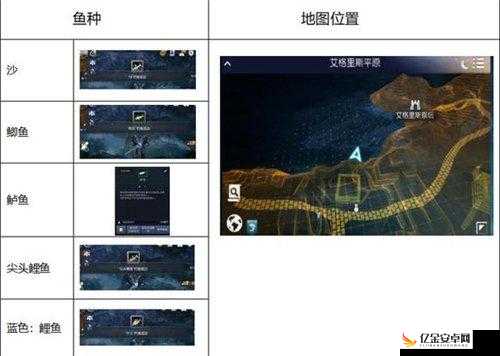 黑色沙漠手游深度钓鱼技巧指南，解锁并享受钓鱼乐趣的全方位秘籍